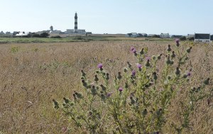 Phare-de-Créac'h-2
