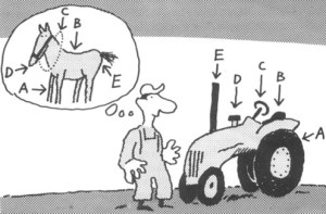 positiv-overforing-av-tidigare-kunskap